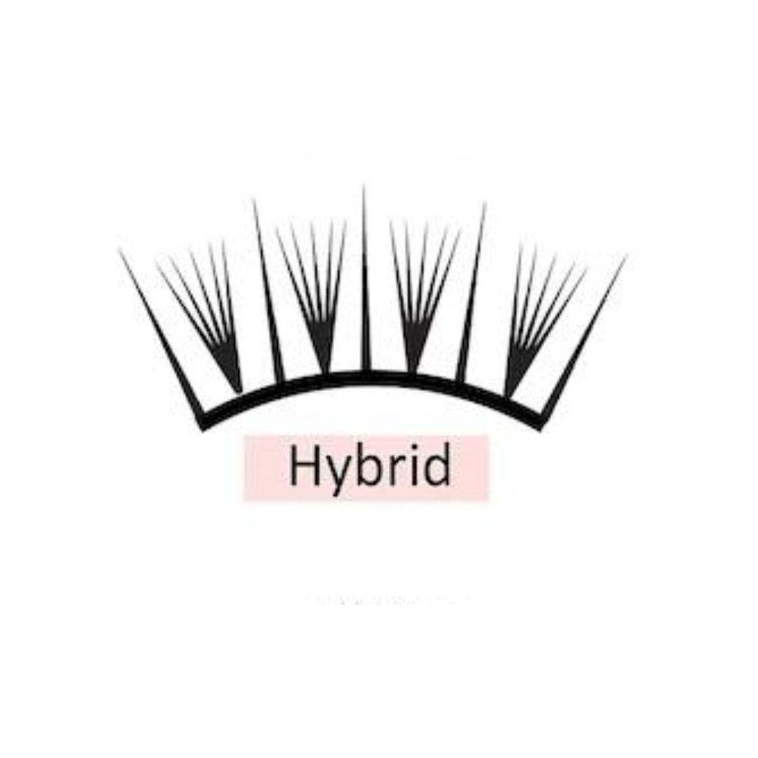 Hybrid