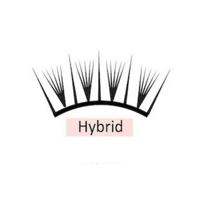 Hybrid